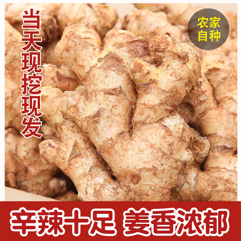 箱子里装着新鲜小黄姜