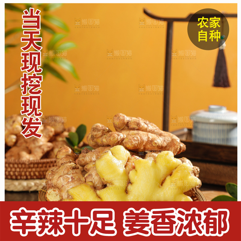 深底上的小黄姜