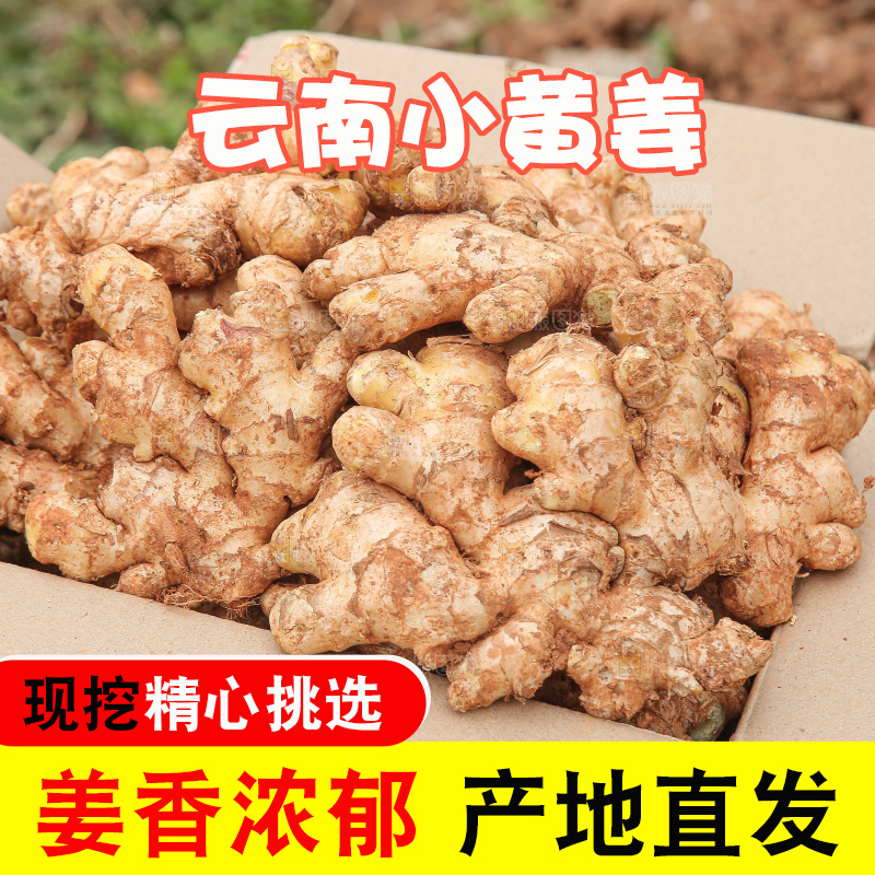 箱子里装着新鲜小黄姜