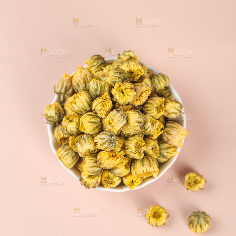 浅底上的胎菊