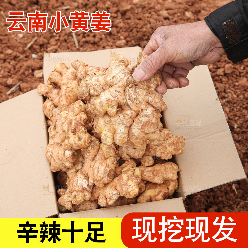 箱子里装着新鲜小黄姜
