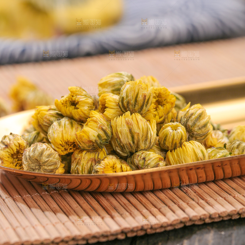 深底上的胎菊
