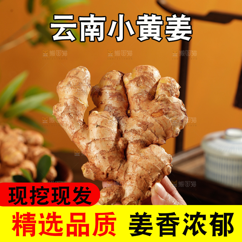 深底上的小黄姜