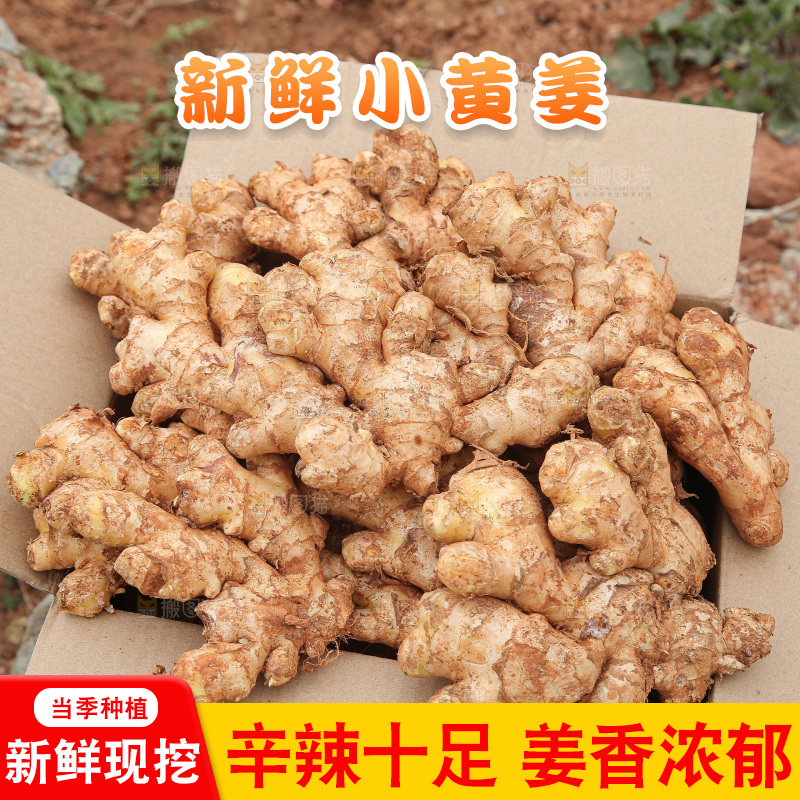 箱子里装着新鲜小黄姜