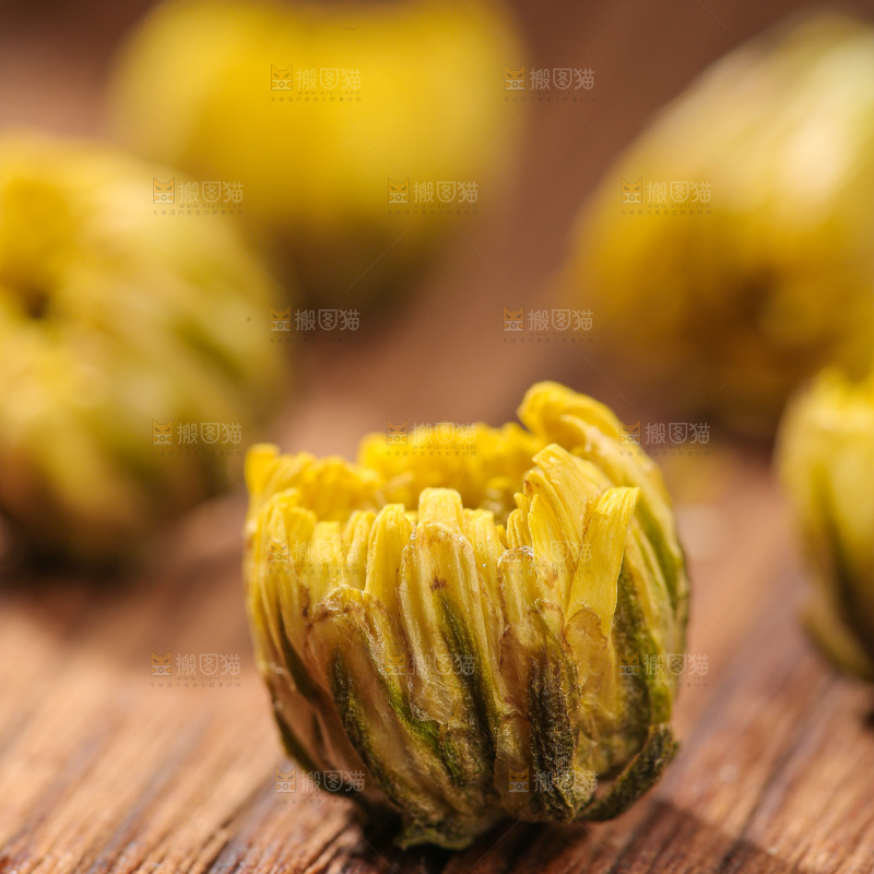 深底上的胎菊