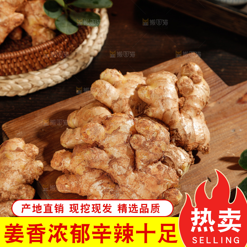 深底上的小黄姜