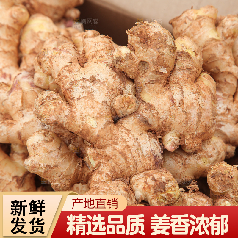 箱子里装着新鲜小黄姜