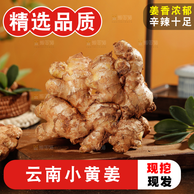 深底上的小黄姜
