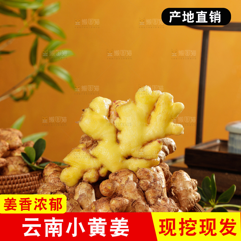 深底上的小黄姜