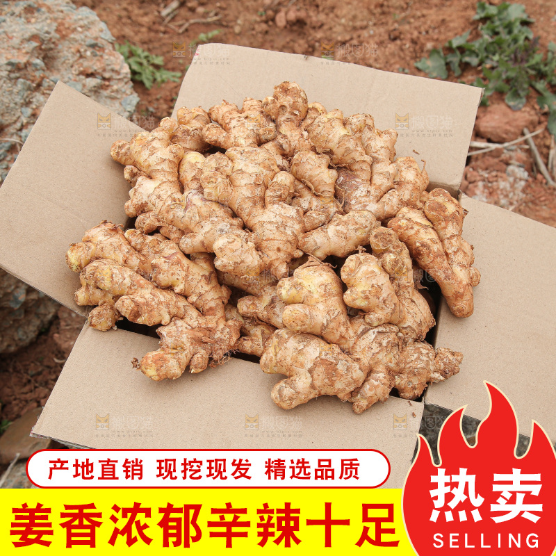 箱子里装着新鲜小黄姜