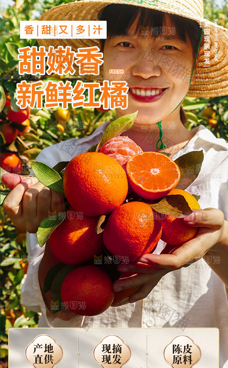新鲜红橘详情页