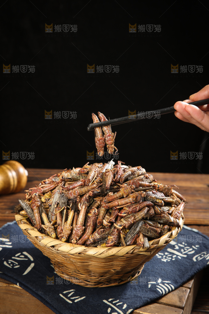 深底上的蚂蚱