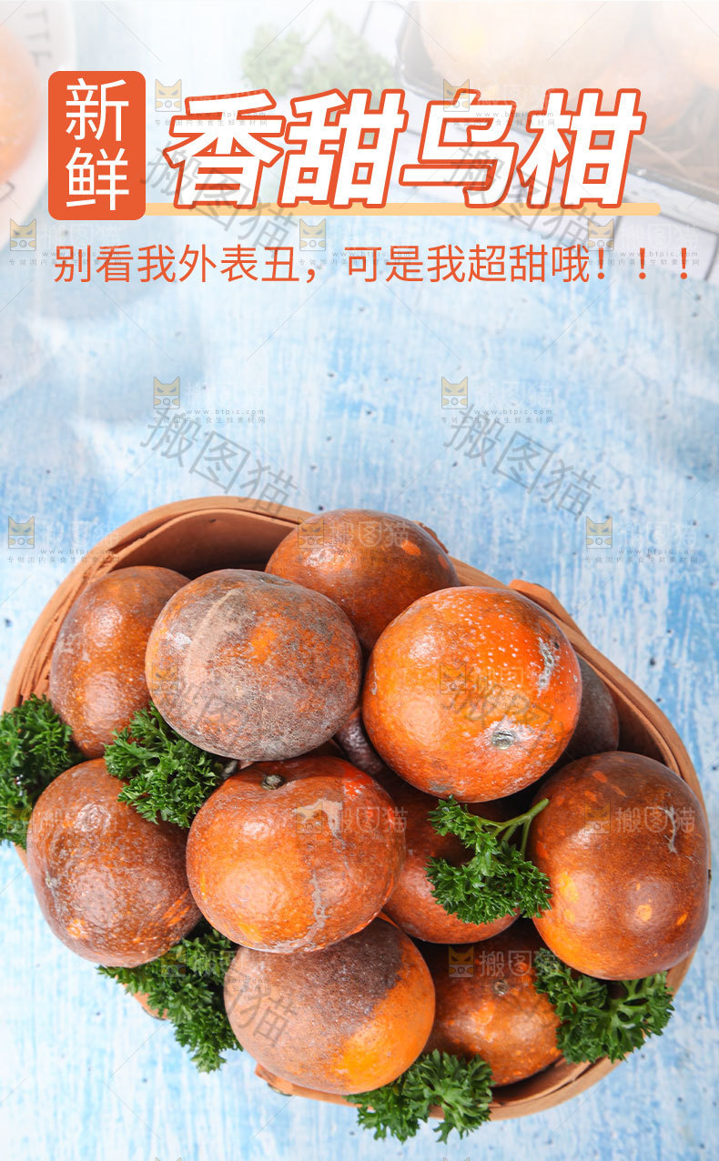 新鲜乌柑详情