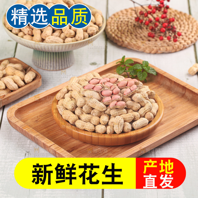 浅底上的生花生