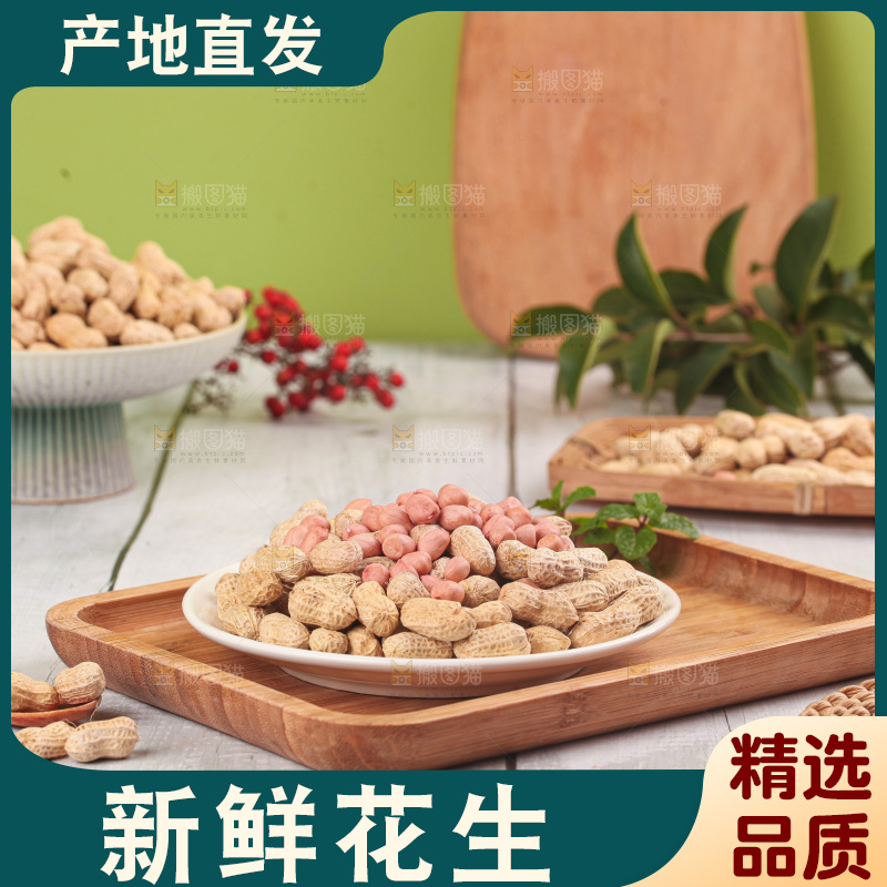 浅底上的生花生