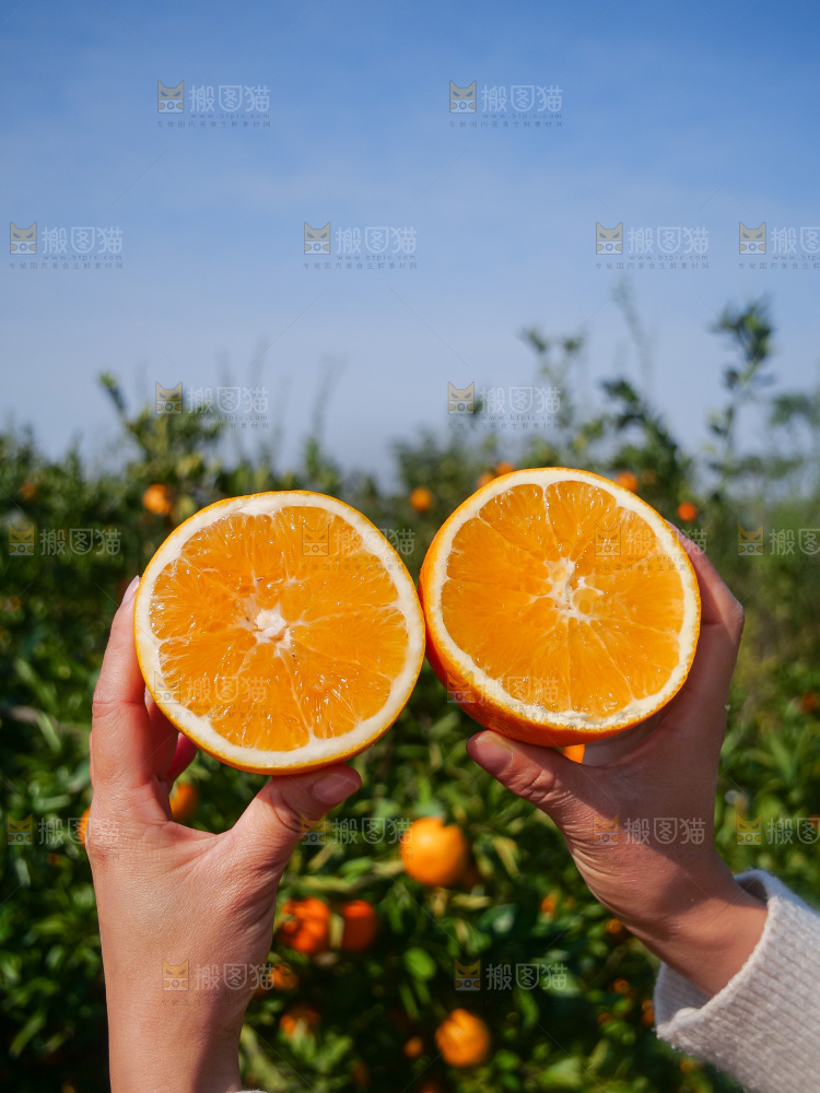 赣南脐橙