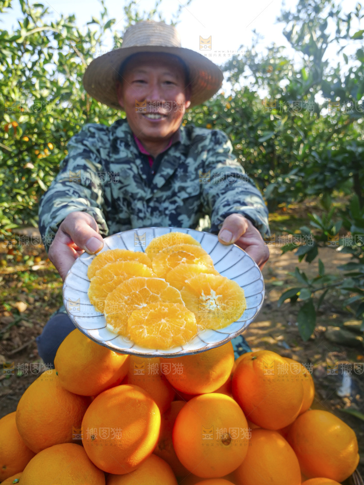 赣南脐橙