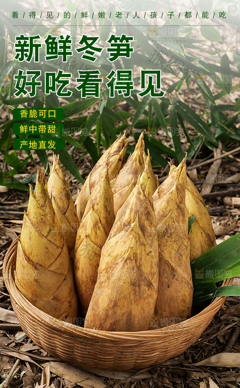 新鲜冬笋详情页