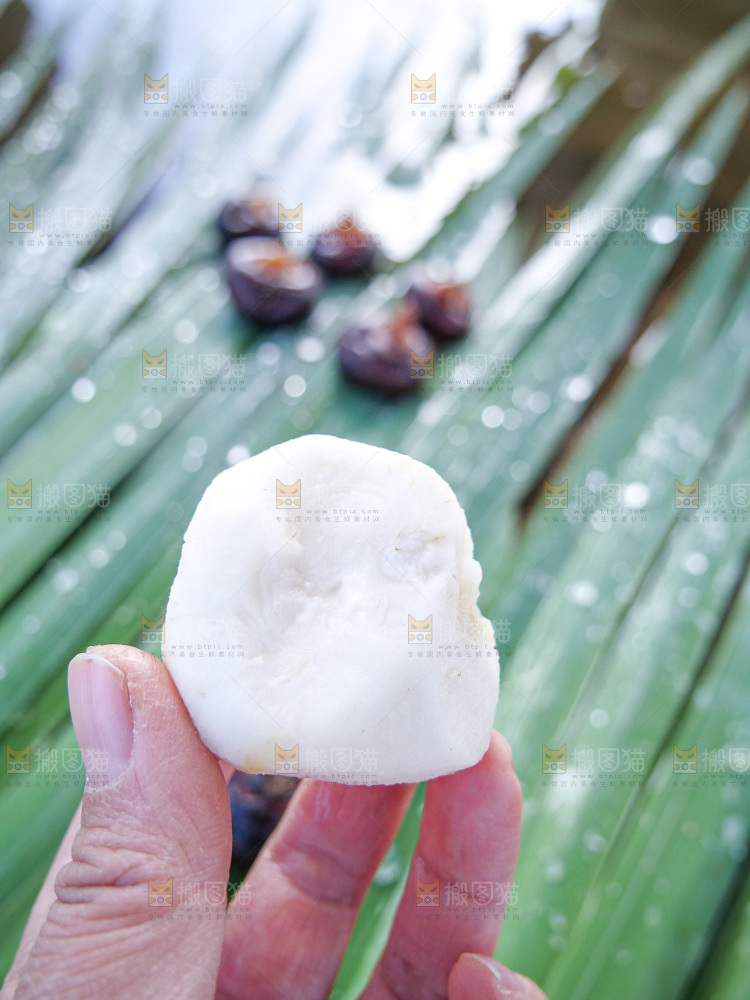 浅底上的马蹄
