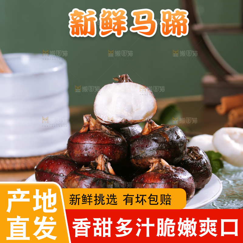 深底上的马蹄