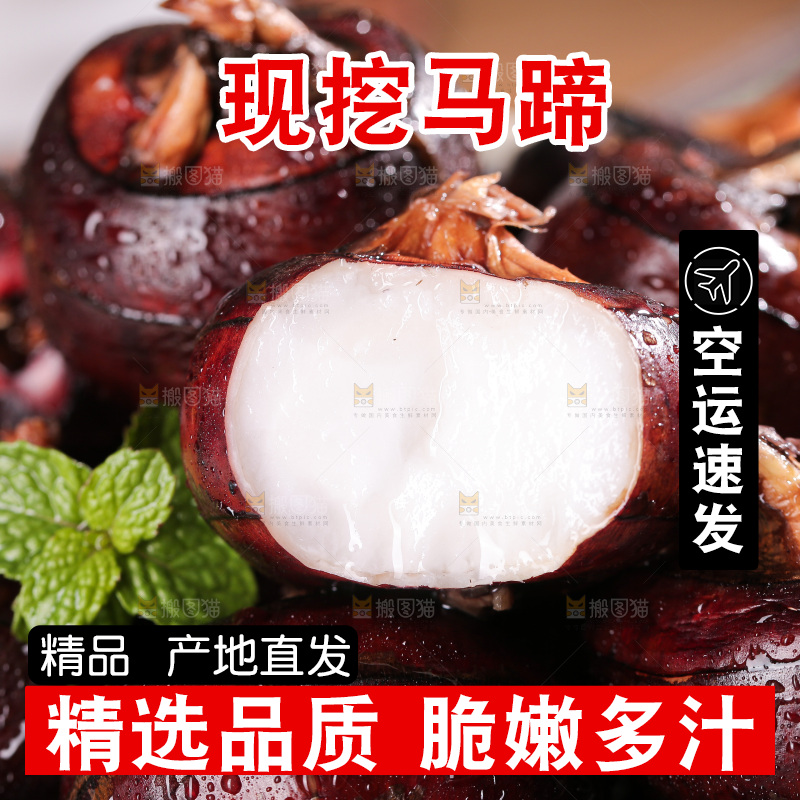 深底上的马蹄