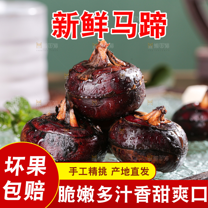 深底上的马蹄