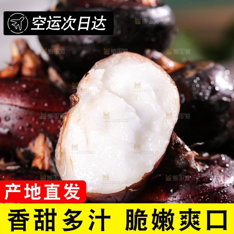 深底上的马蹄