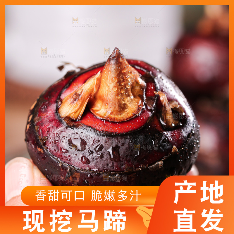 深底上的马蹄