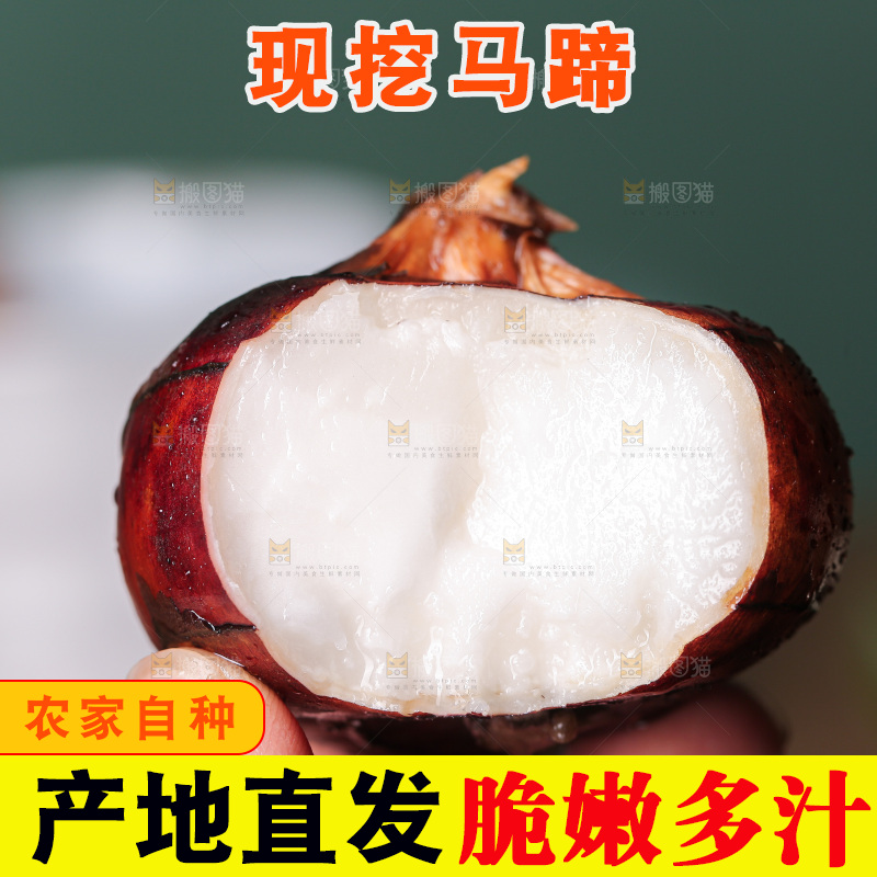 深底上的马蹄