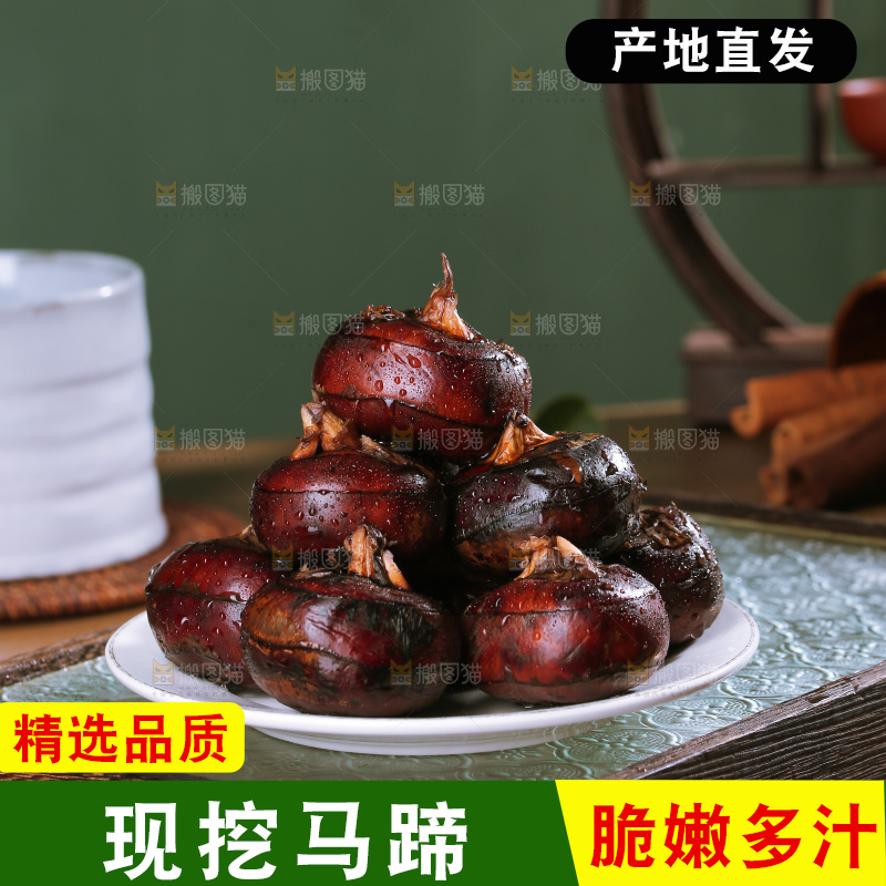 深底上的马蹄