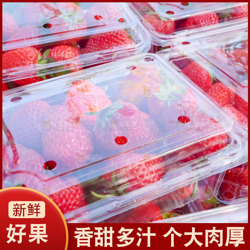 现摘新鲜草莓