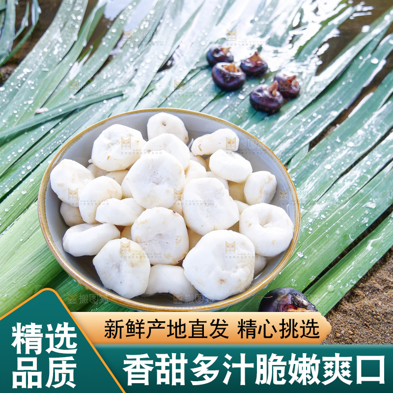 浅底上的马蹄