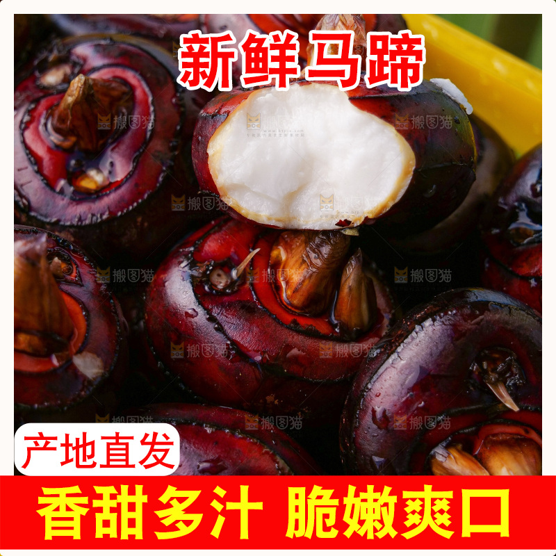 浅底上的马蹄