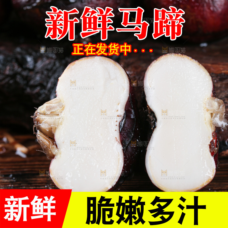 深底上的马蹄