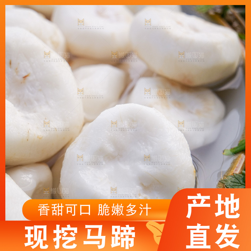 浅底上的马蹄