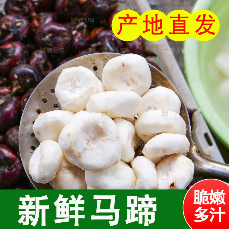 浅底上的马蹄