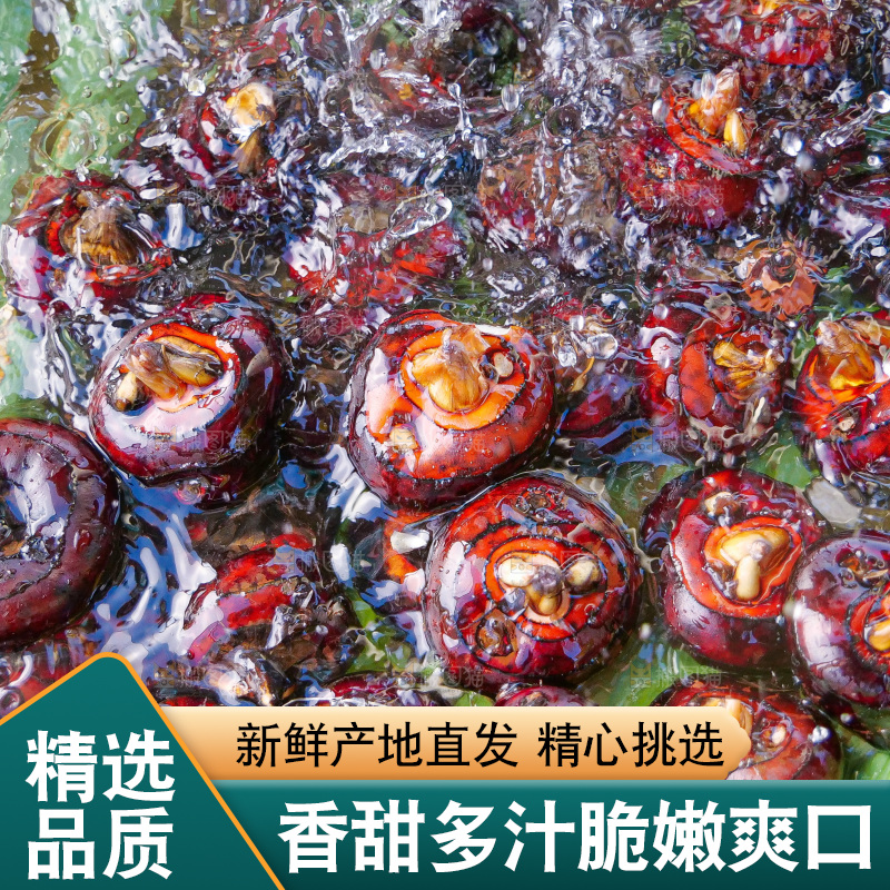 浅底上的马蹄
