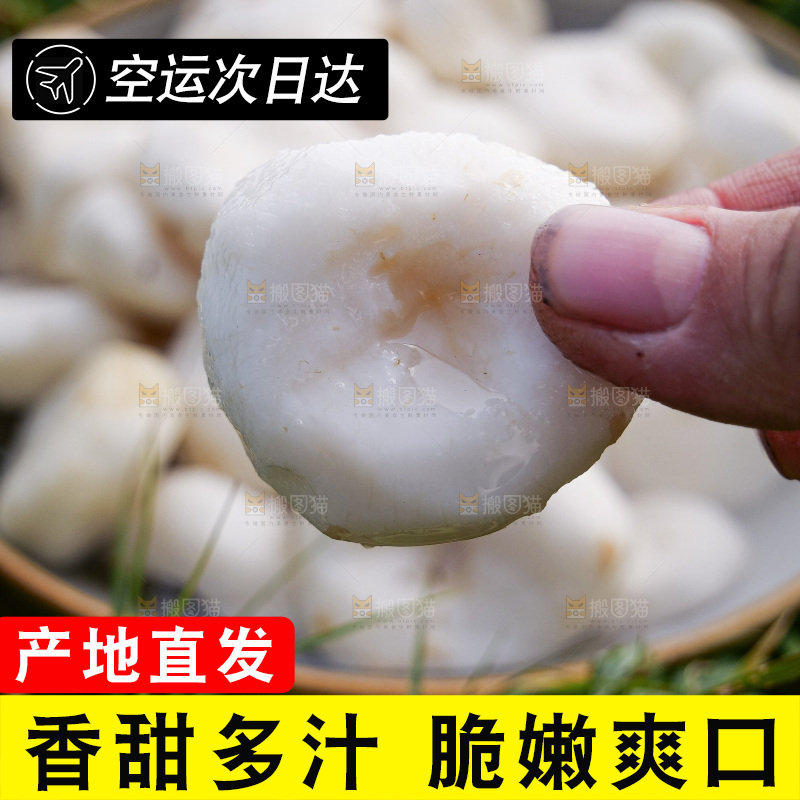浅底上的马蹄