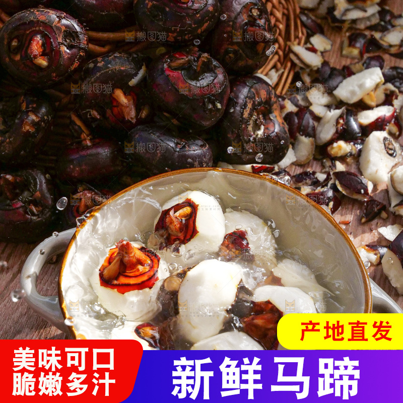 深底上的马蹄