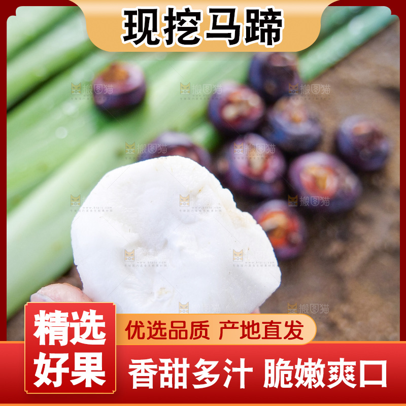 浅底上的马蹄