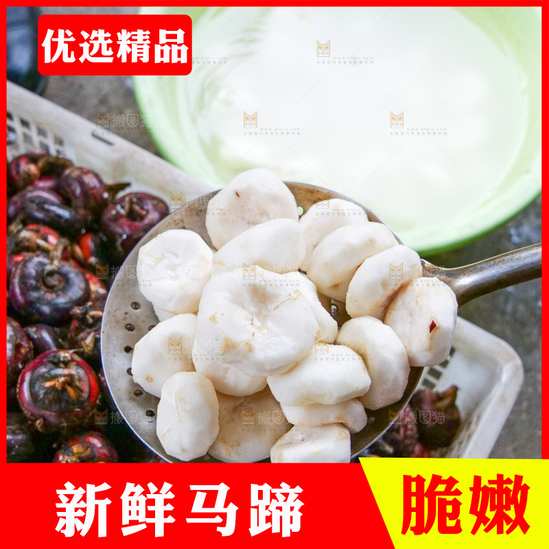浅底上的马蹄