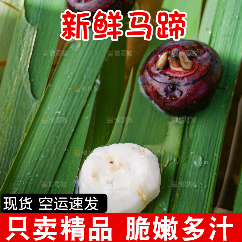 浅底上的马蹄