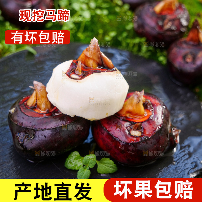 深底上的马蹄