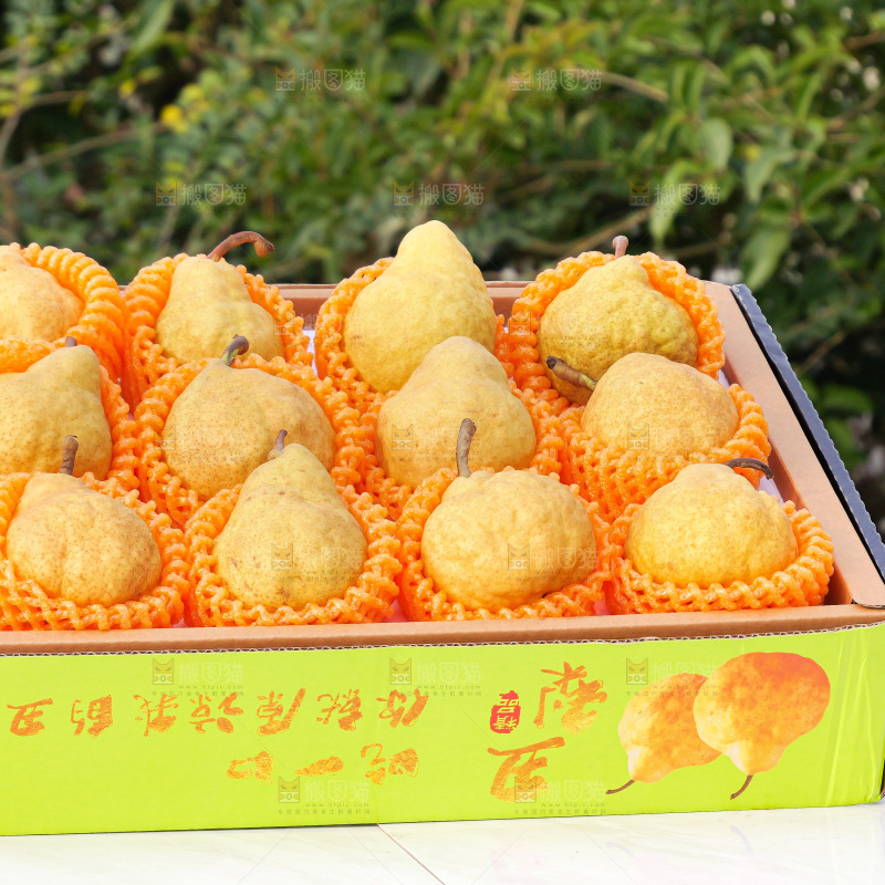 浅底上的新鲜丑梨