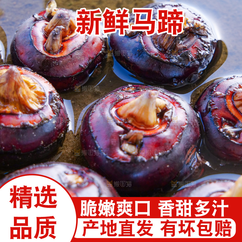 浅底上的马蹄