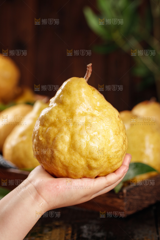 深底上的丑梨