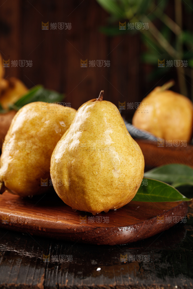 深底上的丑梨