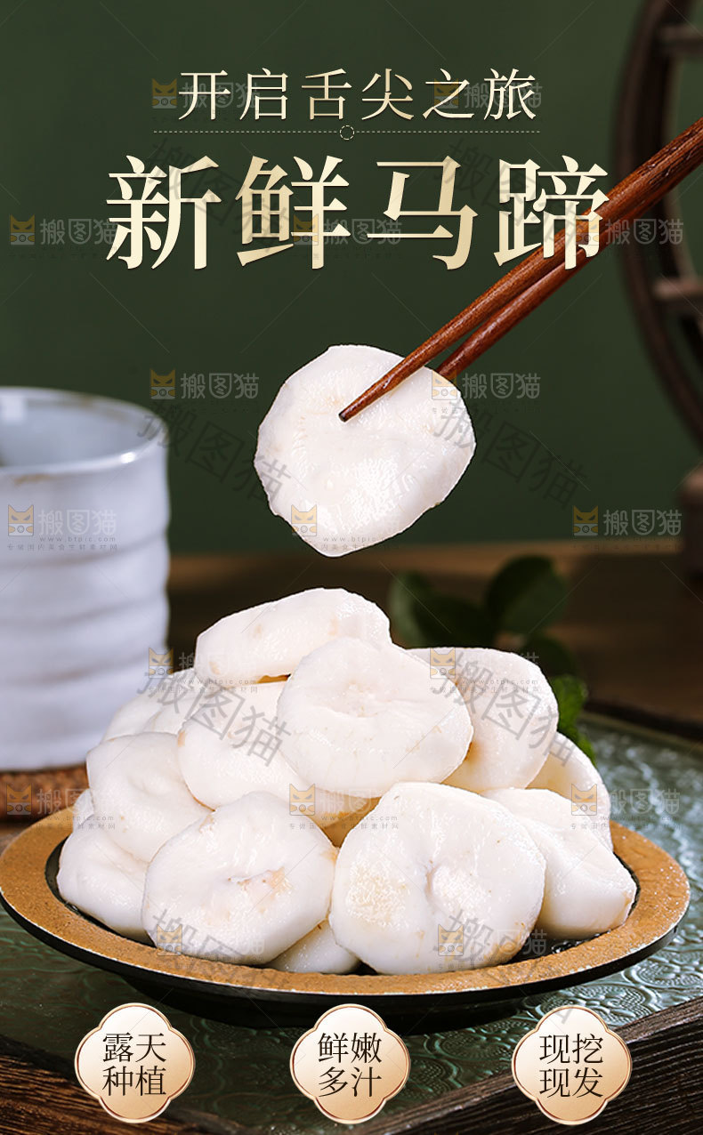 新鲜马蹄详情