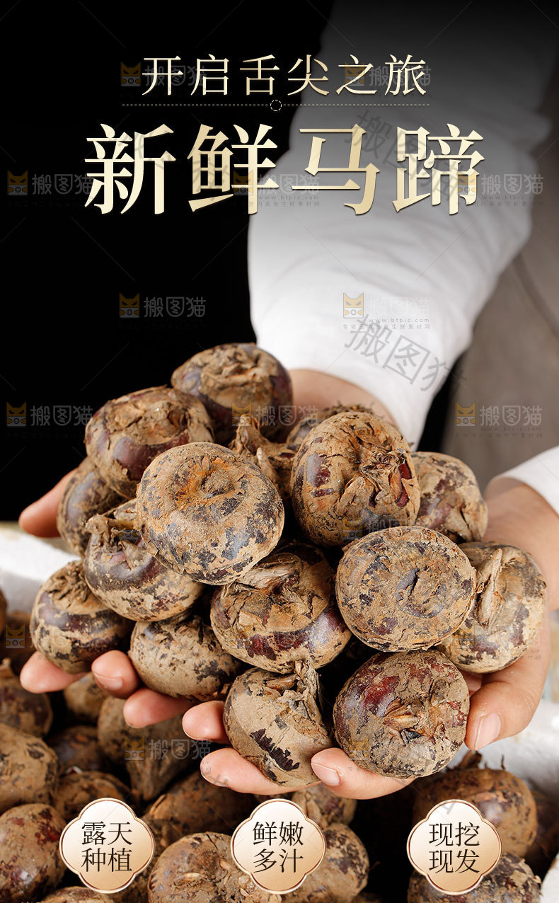 马蹄详情页