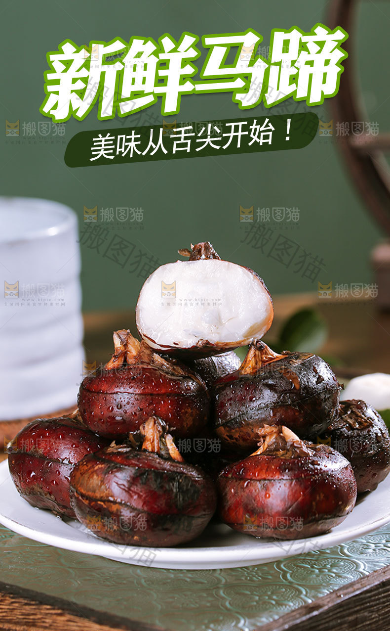 马蹄详情